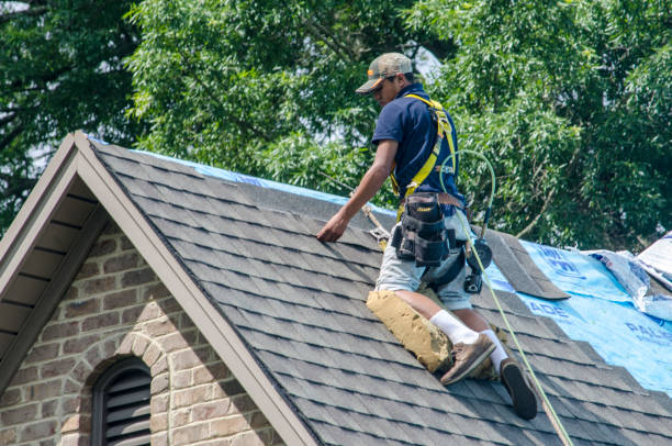 Best Roof Gutter Cleaning  in Kingston, NY